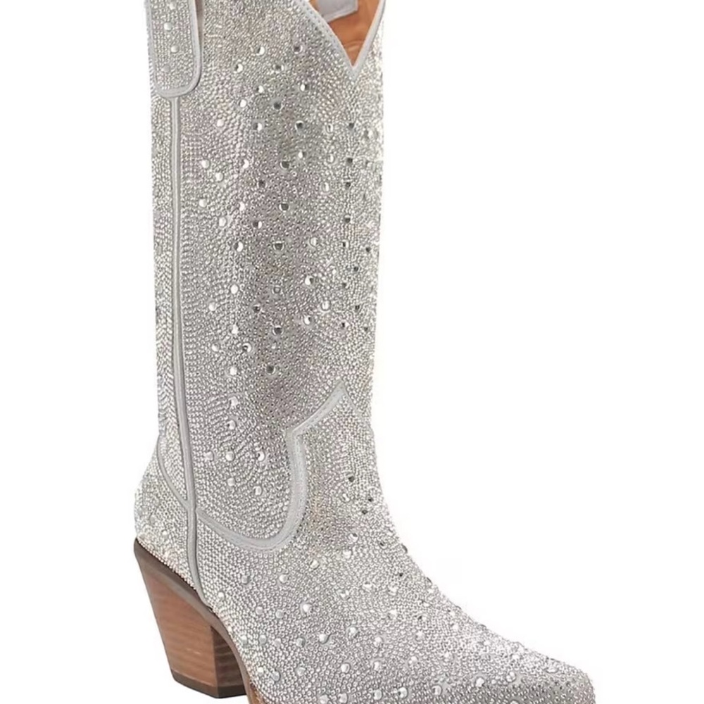 Dingo Sparkly Boots.